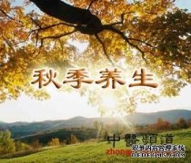 秋季养生的关键在于一个“调”字