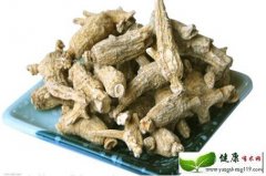 秋季养生保健最佳补品-花旗生