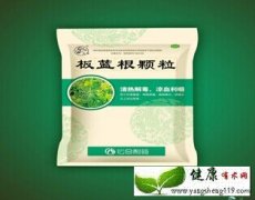 春季家庭常备板蓝根