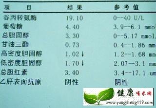 看懂血脂化验单