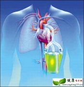 保肺是秋季的养生主题