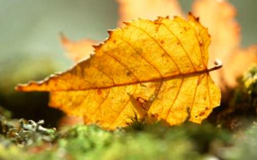 干燥的秋天喝什么养生粥与运动来预防秋燥