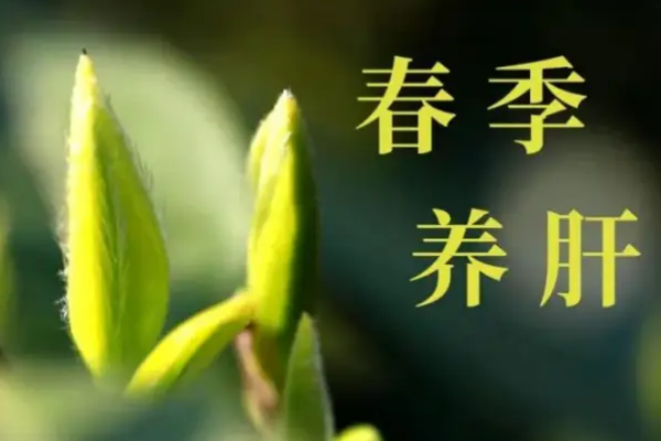 开春别瞎补！我用了6年的3个小法子，不花一
